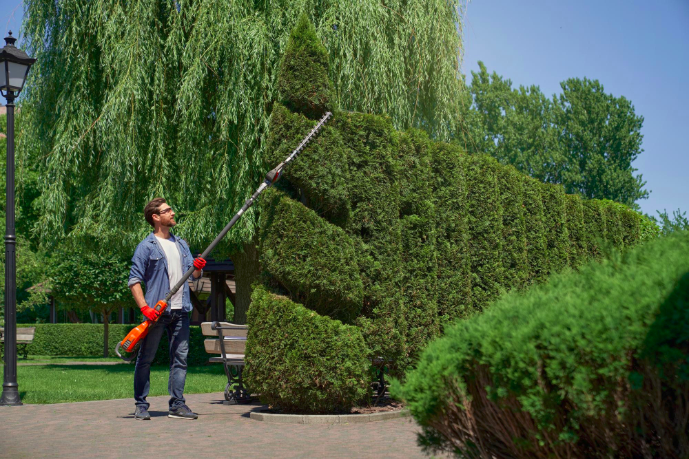 Gartenwerkzeuge